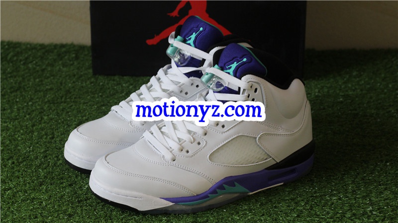 Authentic Air Jordan 5 Retro Grapes